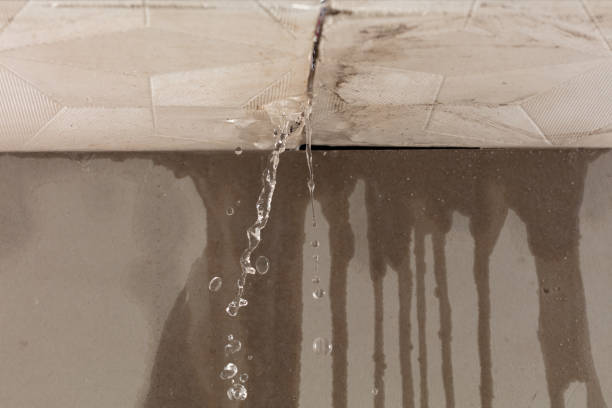 Professional Sewage Cleanup technician working in Terra Ceia, FL